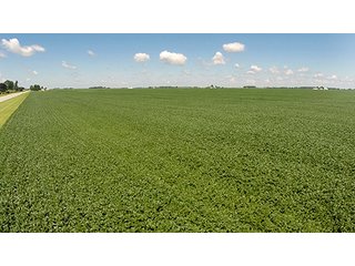 Property photo 34 - PRIME FARMLAND AUCTION - 716+/- ACRES OFFERED IN 8 TRACTS IN CASS & CARROLL COUNTIES